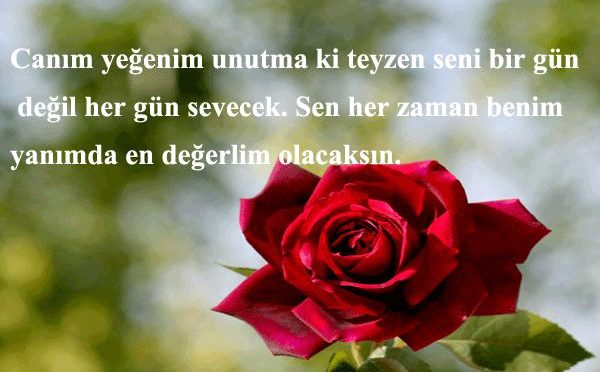 yeğene güzel sözler